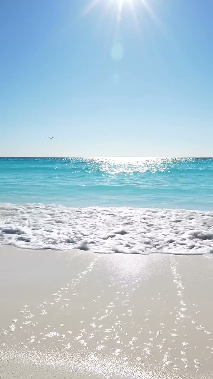 Swimwear